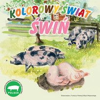 Kolorowy świat świń