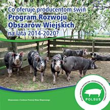 Co oferuje producentom świń PROW na lata 2014-2020?