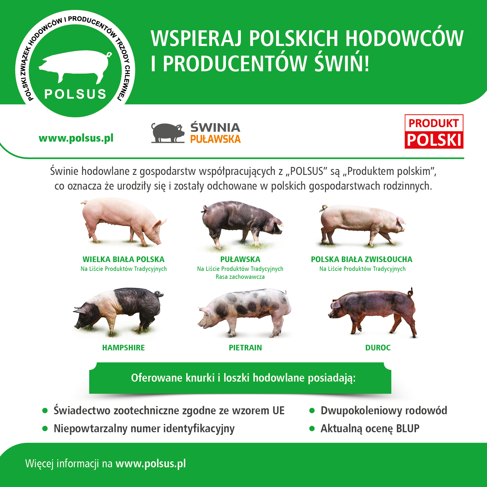 Wspieraj polskich hodowców i producentów świń